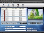 Nidesoft DVD to Palm Converter Screenshot