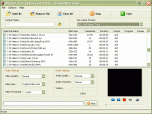 Winner FLV Video Converter Screenshot