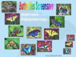 Butterflies Screensaver