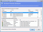 Svchost Process Analyzer Screenshot