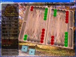 2010 Backgammon Pro