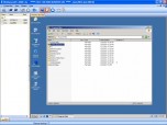 WinRemotePC Lite