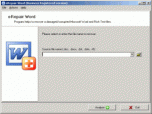 eRepair Word Screenshot