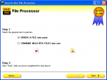 Easy-to-Use File Processor Screenshot