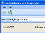 Capitalistech Image Downloader Screenshot