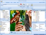 Flash and Video Converter Suite Screenshot