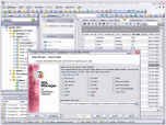 EMS SQL Manager for InterBase/Firebird Screenshot