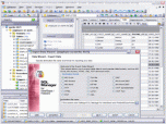 EMS SQL Manager for InterBase/Firebird