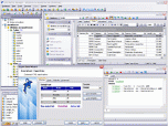 EMS SQL Manager for MySQL Freeware Screenshot