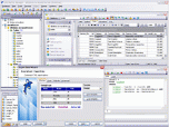 EMS SQL Manager for MySQL Freeware