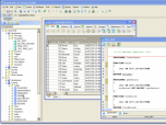 DreamCoder for Oracle Freeware Screenshot