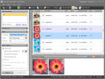 Duplicate Finder 2009 Pro Edition