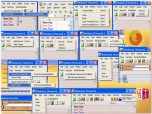 ZeN Desktop Database FS Screenshot
