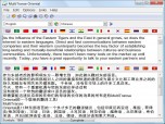 MultiTranse Oriental Screenshot
