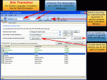 Site Translator Screenshot