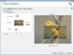 FileStream FrameShop Screenshot