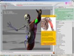 3D Virtual Human Anatomy Studio Screenshot