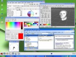 XLitePro X-server software for Windows Screenshot