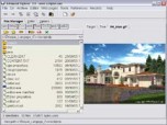 Advanced Explorer Screenshot