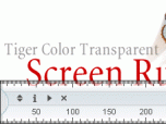 Transparent ScreenRuler Screenshot