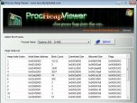 Process Heap Viewer