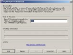 BigFileSplit Professional