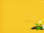 ALTools Dandelion Wallpaper