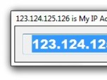 Display IP Address Screenshot