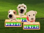 Cute Puppy Clock Screenshot