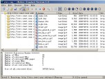 iWebGet Standard Version Screenshot
