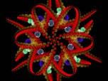 KaleidoMorph