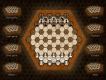 Hexagonal Chess