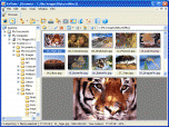 XnView Screenshot