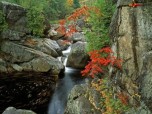 Rapid Mountain River Screensaver Screenshot