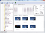 Digital Photo Organizer Screenshot