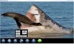 USB Picture Tags Screenshot