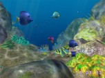 3D Coral World ScreenSaver Screenshot