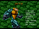 Battletoads and Double Dragon Screenshot