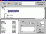 Window Information Screenshot