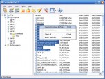 Encrypt4all Home Edition Screenshot