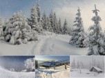 Animated Winterscapes