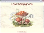 Les Champignons Screenshot