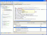 7Edit (HL7 browser/editor) Screenshot