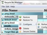 Recycle Bin Manager
