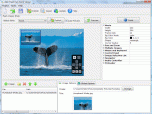 Aleo Flash Pan Zoom Viewer Screenshot