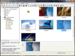Disk Explorer Professional Screenshot