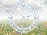 Everlasting Flowering Clock screensaver Screenshot