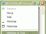 Actual Window Menu Screenshot