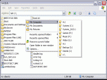 Chameleon Folder Screenshot