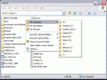 Chameleon Folder Lite